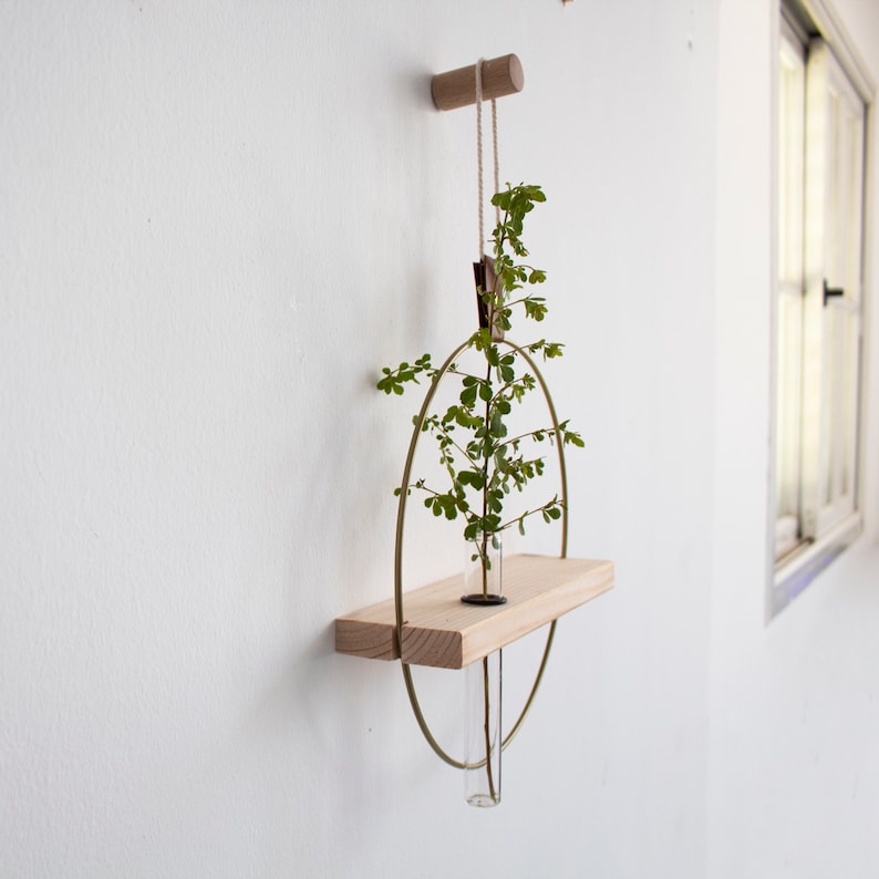 May include: A wooden shelf with a gold metal ring hanging from it. A glass tube with a plant inside is placed on the shelf. The shelf is attached to a white wall with a wooden dowel.