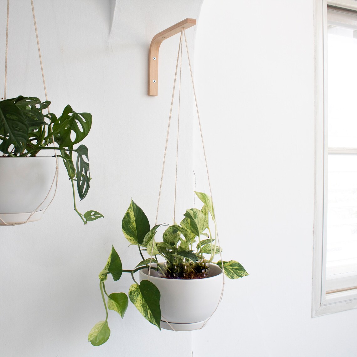 Wall Hook For Hanging Plants Set Of Two Wall Plant Hanger Etsy
