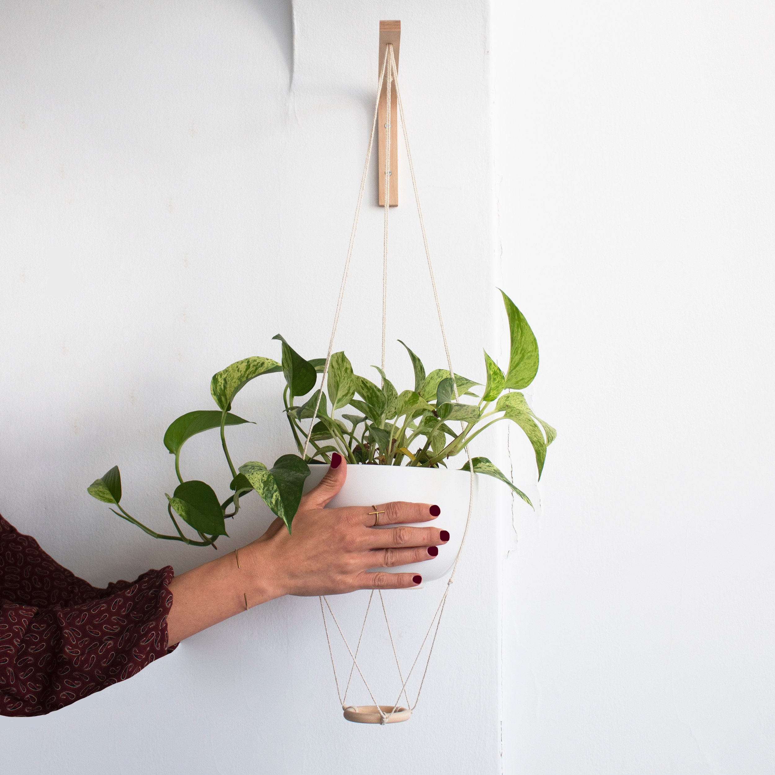 YYBD - 2 pièces Crochets muraux pour plantes en bois - Crochets muraux en bois de hêtre pour plantes suspendues à l'intérieur et à l'extérieur - Supports de suspension pour plantes en YYBD - 2 pièces Crochets muraux pour plantes en bois - Crochets muraux en bois de hêtre pour plantes suspendues à l'intérieur et à l'extérieur - Supports de suspension pour plantes en