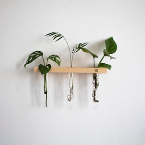 Plant Propagation Wall Hanging Station, Test Tube Propagation Station, Wall Propagation Planter, Test Tube Planter, Wall Plant hanger