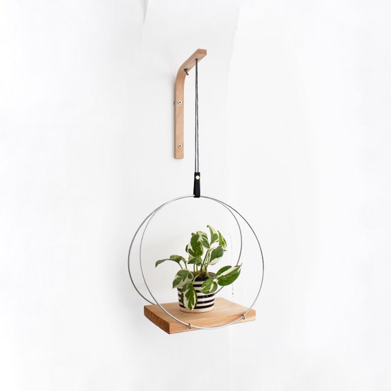 oosters innovatie verstoring Muur plant hanger muur haak voor hangende planten hout plant - Etsy België