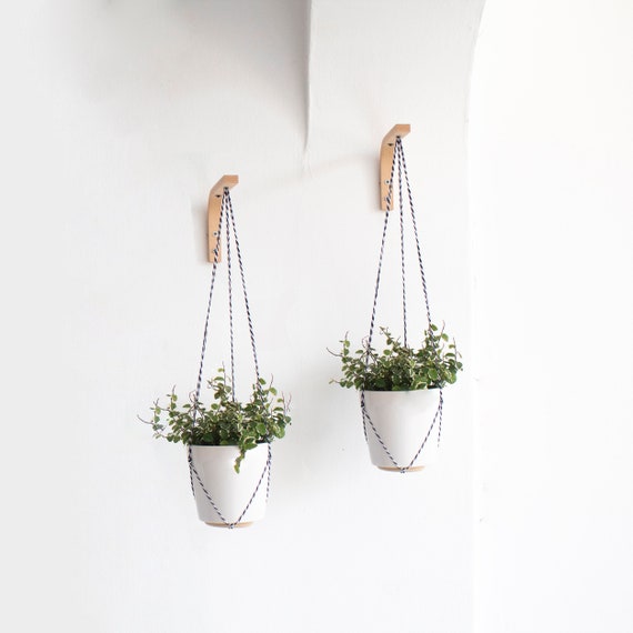 Hoofdstraat Instrueren Interactie Muur plant hanger mini set van 2 muur haak voor het ophangen - Etsy België