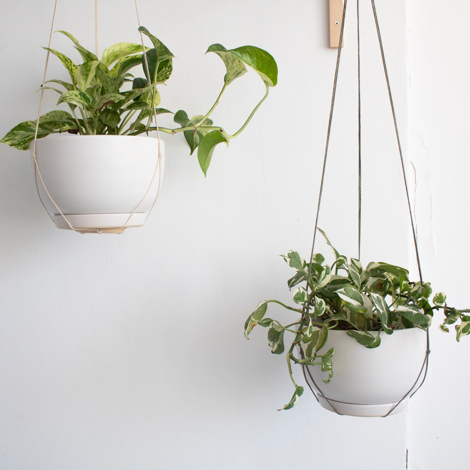 Wall Hook for Hanging Plants Wood Plant Hanger Indoor or Etsy