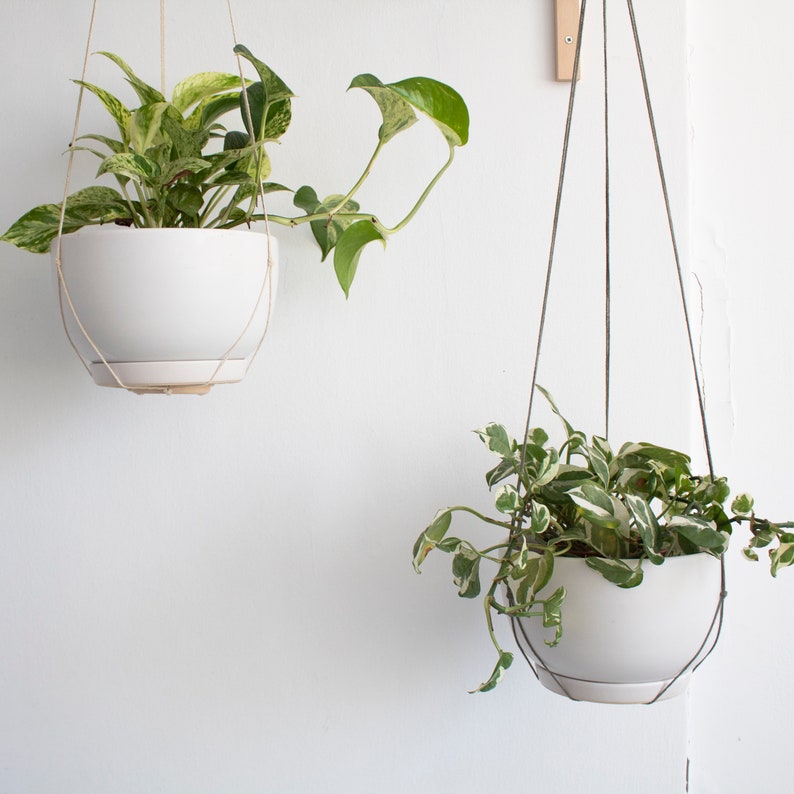 Wall Hook for Hanging Plants Wood Plant Hanger Indoor or Etsy