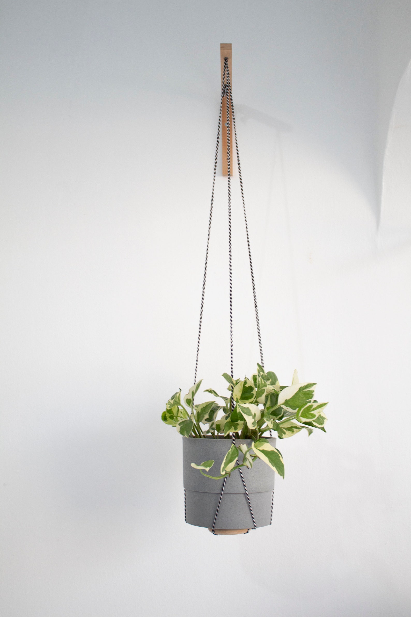 Wooden Plant Hook Wall Hanging Planter Indoor Wooden Plant Etsy