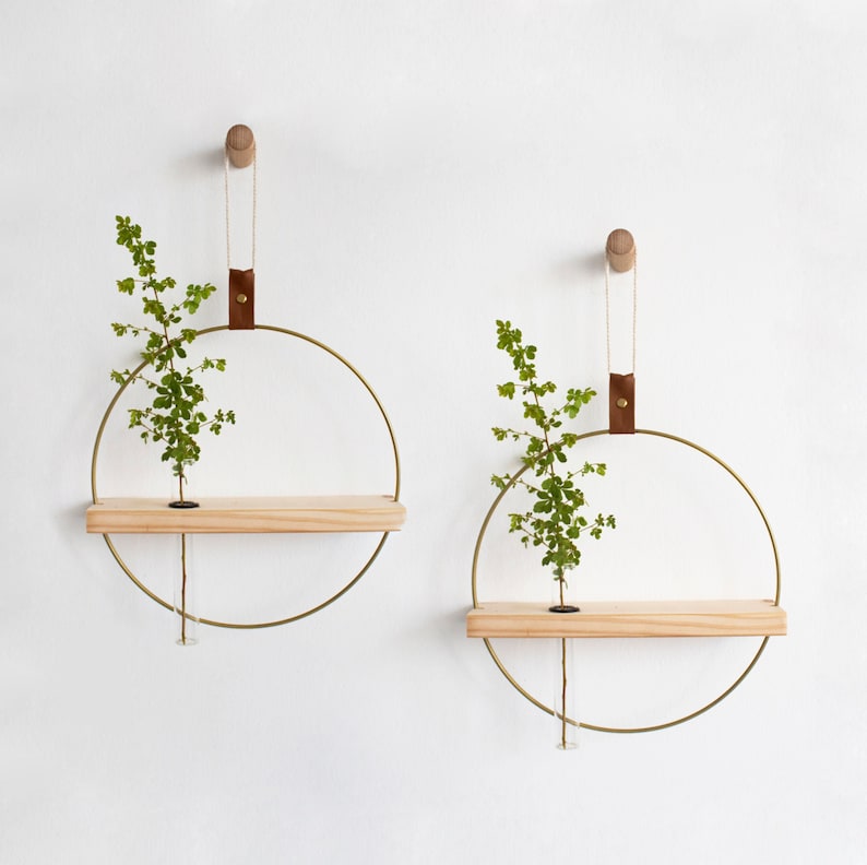 Two Wall Hanging Planter Shelves