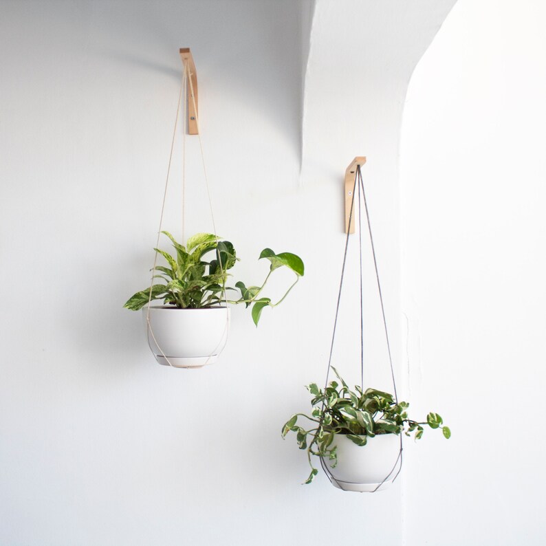 Wall Hook for Hanging Plants Wood Plant Hanger Indoor or Etsy