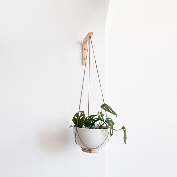 vloeistof navigatie Wolkenkrabber Wandhaak voor hangende planten plantenhouder muur - Etsy België