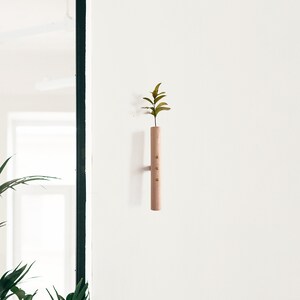 May include: A light wood wall mounted vase with a small green plant inside. The vase has three brass accents.