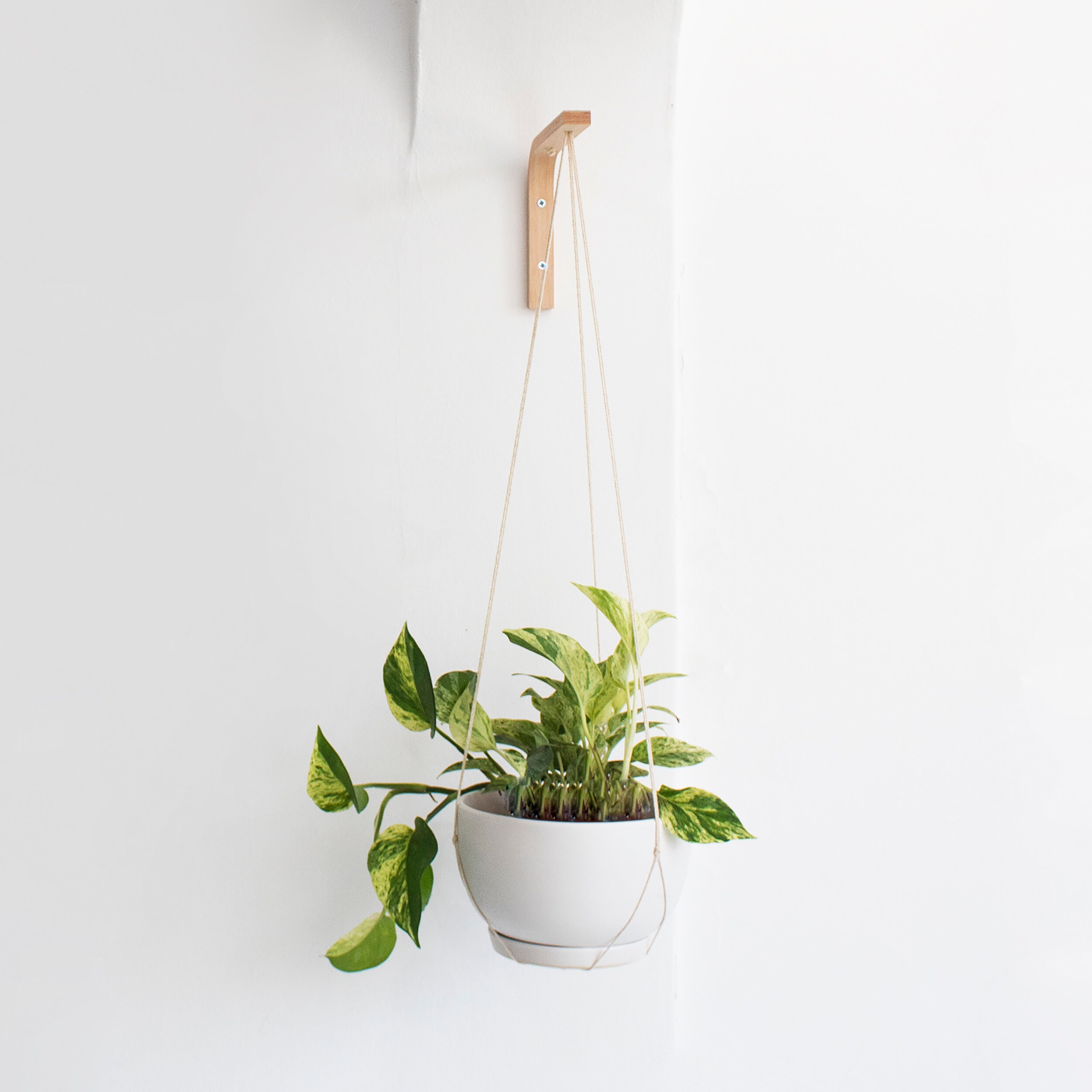 Wall Hook For Hanging Plants Set Of Two Wall Plant Hanger Etsy