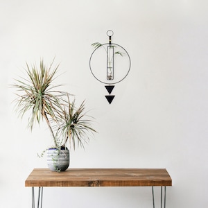 Propagation Station Wall Hanging, Hydroponic Plant Glass, Hydroponic Plant Holder Black Metal, Propagation Tube Wall, Propagation Station