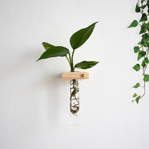 Wall Plant Propagation station, Propagating Plant Station, Wall Hanging Plant, Propagate Plants, Propagate Station, Test Tube planter