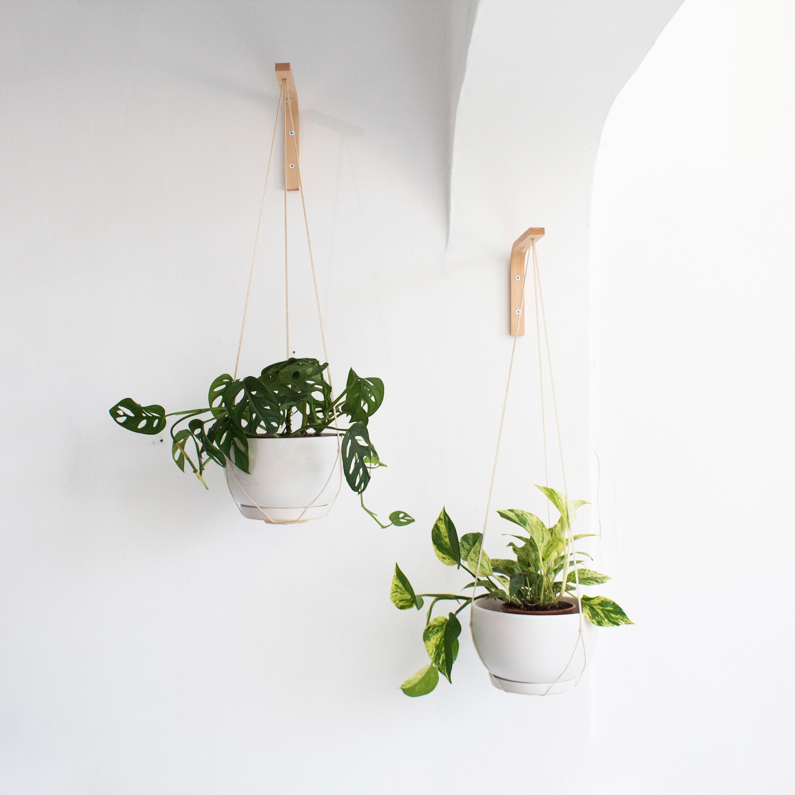 Two Wall Plant Hanger Wall Hook for Plants Wooden Plant Etsy