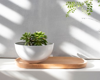 Vasi succulenti con piattino, fioriera succulenta, supporto per succulente, vaso per succulente bianche, vaso in alluminio, vaso per piante da interno, fioriera piccola