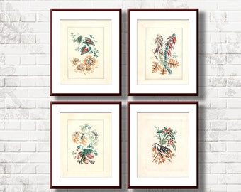 Set Botanical Chinoiserie Illustration , Antique Floral Ornements Wallpaper , Digital Download, Printable Home Decor