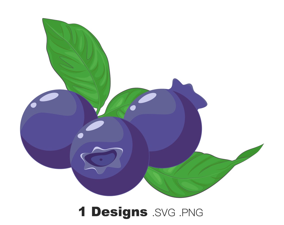 Blueberry SVG, Blueberry Bundle SVG, Blueberries Clip Art, Blueberry