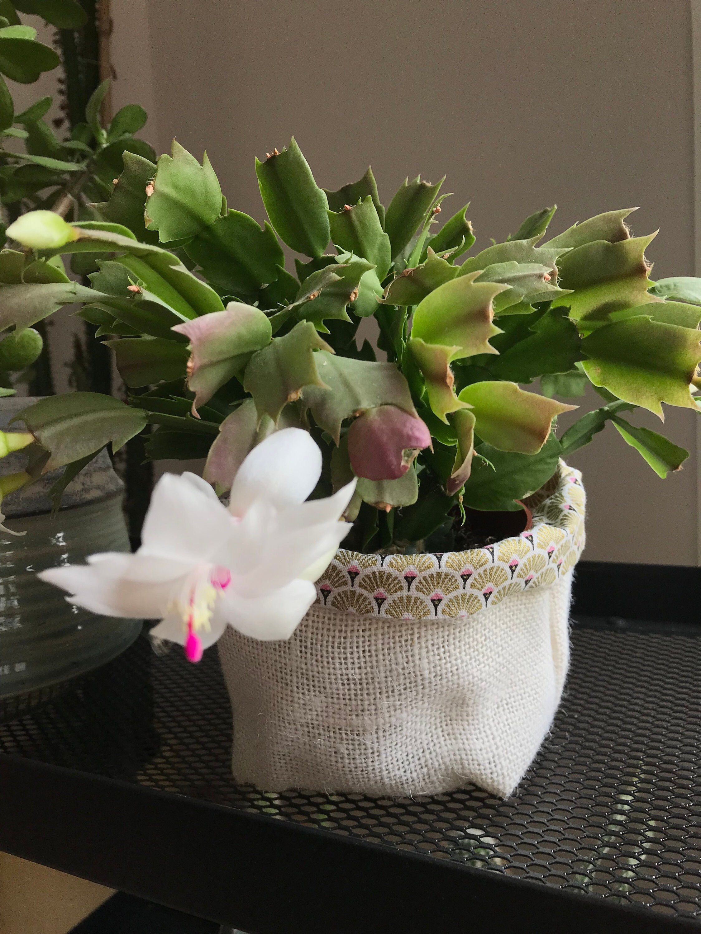 Panière en Toile de Jute Blanche Doublée Tissu, Cache Pot Décoratif, Vide Poche, Panière Réversible