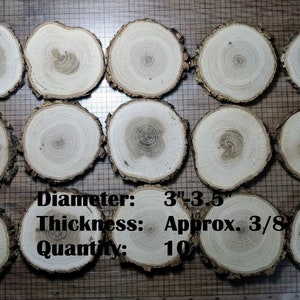 Oak Woo Slices with Living Edge (Set of 10). Diameter 3"-3.5". Tree Branch Discs.