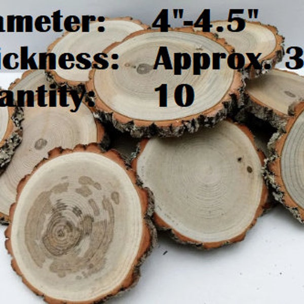 Sassafras Wood Discs/Slices with Living Edge (Set of 10). Diameter 4"-4.5". Tree Branch Discs.