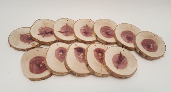 Natural Wood Slices Rustic Wood Rounds for Hobby Crafts Ornaments
