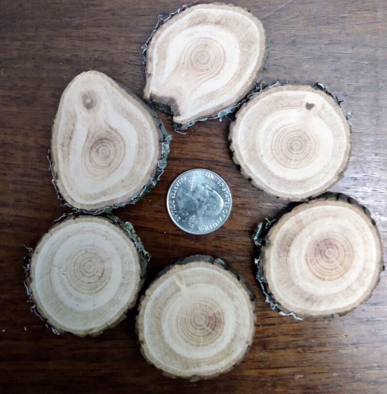 Bark Disc Hickory Wood Discs With Living Edges (set of 10). Diameter 1.5