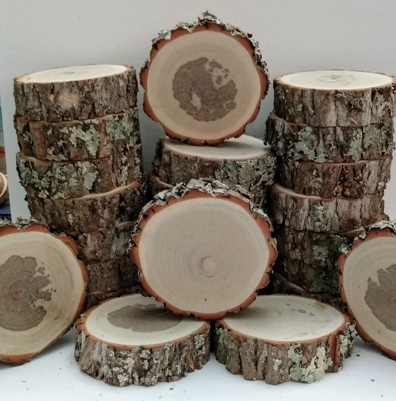 Thick Sassafras Wood Discs/Slices with Living Edge25 Etsy
