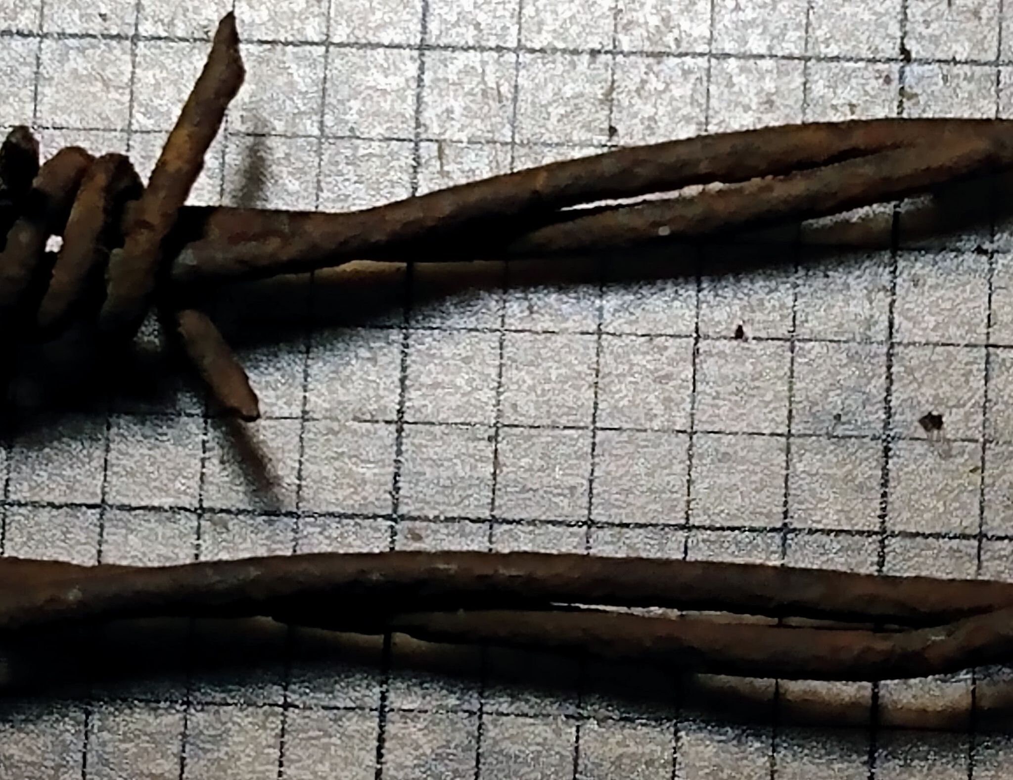 Rustic, Rusty Barbed Wire. (10) 1 Foot Lengths of 2 Strand 4 Prong ...