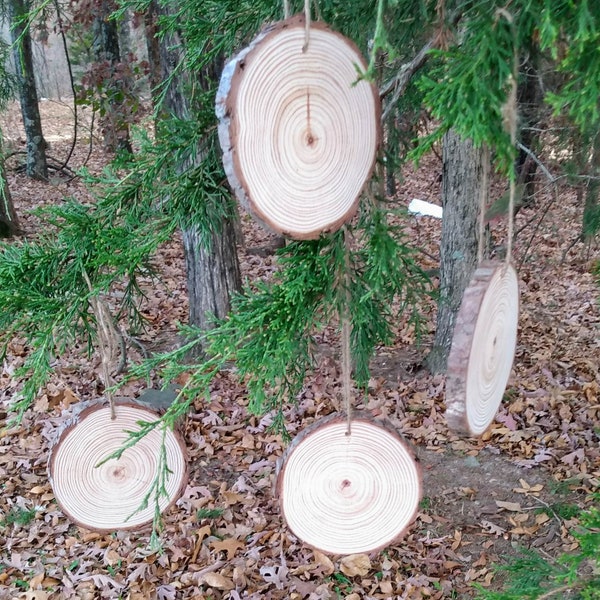 Rustic, Pine Christmas Ornaments Blanks (12) Diameter approx. 3.75"