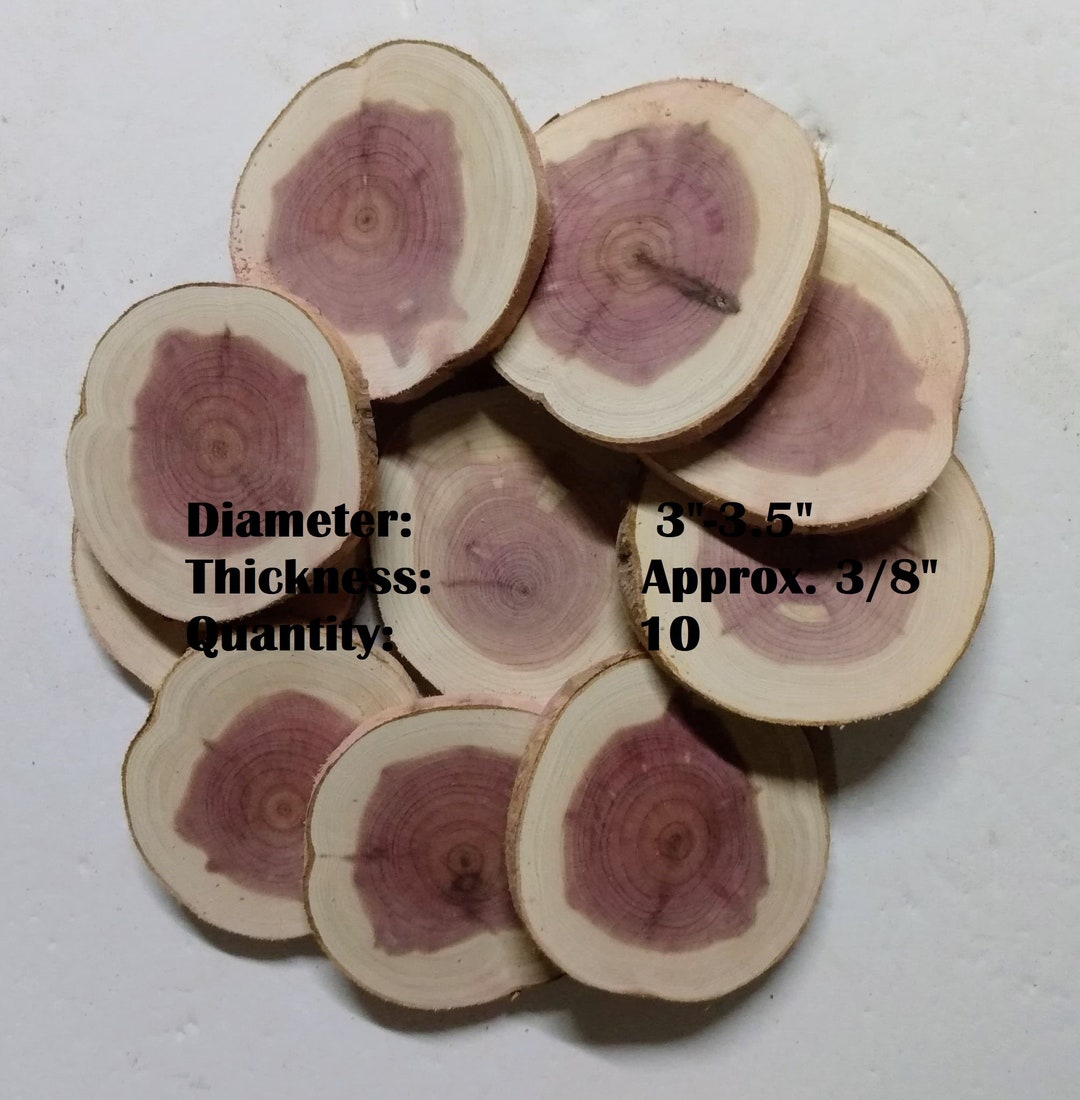 Cedar Wood Slices/discs, 3