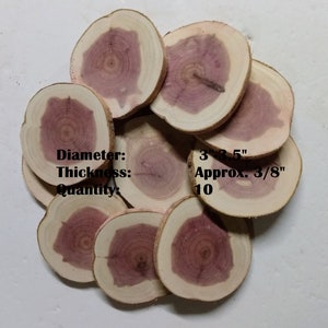 May include: Ten wooden round slices of wood with a natural wood color and a reddish-brown center. The slices are approximately 3 to 3.5 inches in diameter and 3/8 inch thick.  Diameter: 3"-3.5" Approx. 3/8" 10