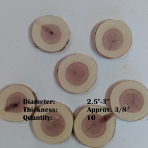 May include: Ten round wood slices, approximately 2.5 to 3 inches in diameter and 3/8 inch thick. The wood is a light brown colour with a darker pink centre.