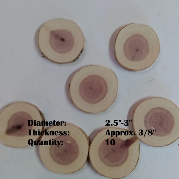 Cedar Wood Slices/Discs, 2.5" to 3" Diameter (Set of 10). Tree Branch Slices.