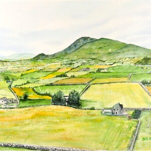 Annalong, N. Ireland landscape of countryside with green fields and rocky fencerows. The Mournes are in the background.