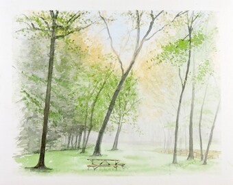 Picnic Table in the Park in the morning mist.