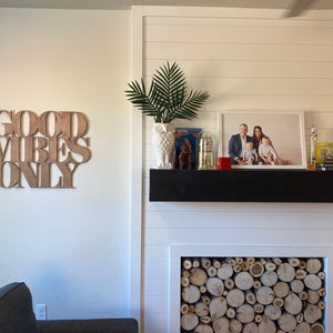 May include: A white fireplace mantel with a black shelf, a framed family photo, a white owl vase with a green plant, and a stack of books. The fireplace has a wood log holder with a pile of logs.