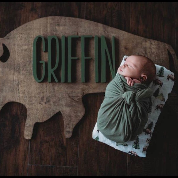 Larger bison wood sign • buffalo custom name sign • nursery name sign • woodland nursery • desert nursery • large