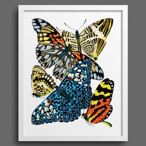Papillons by EA Seguy - plate 3 | Nature prints, butterfly prints, botany, wall art, room decor, vintage print | Giclee print