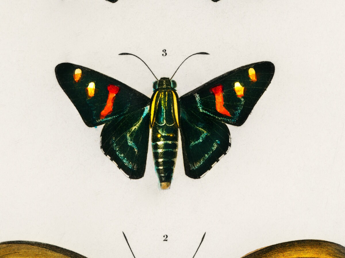 Three Vintage Handmade Butterflies Unique Decor - Etsy