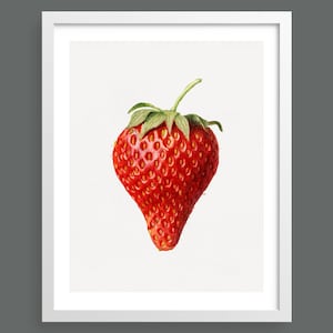 Vintage Strawberry Print: Botanical Watercolour Wall Art