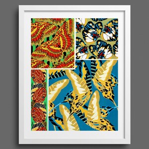 Papillons by EA Seguy - plate 19 | Nature prints, butterfly prints, pattern, botany, wall art, room decor, vintage print | Giclee print