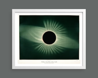 Trouvelot Solar Eclipse Print - Antique Astronomy Illustration
