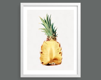Pineapple | Vintage botanical fruit print | Wall art, room decor, vintage print, watercolour