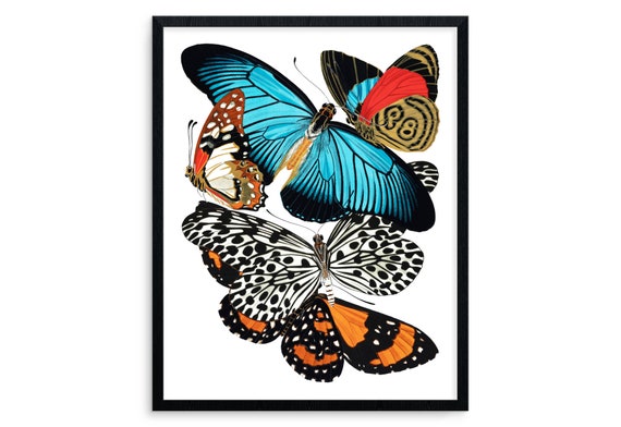 始祖蝶　Ancester’s Butterfly 【肉筆絵画】 陸愚卿貓蝶圖| Cat and Butterfly | Inkspiration: Chinese