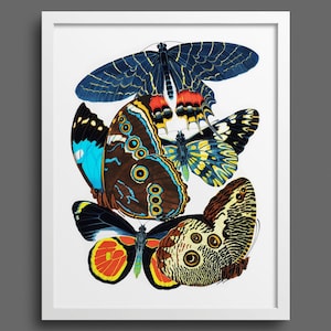 Papillons by EA Seguy - plate 2 | Nature prints, butterfly prints, botany, wall art, room decor, vintage print | Giclee print