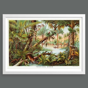 Tropical Zone by Levi Walter Yaggy | Scientific geographical chart print | Vintage wall art | Old map | Educational science poster