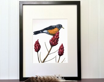 Original work - The spring blackbird - 10x8in - Unique handmade illustration - Animal decoration, Bird, American, Vinegar