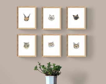 Small original works. Choice of six illustrations of cats, Kitty, Persian, Siamese, Caracal, Ragdoll, Bengal