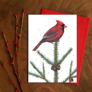 Greeting Card Northern Cardinal 7 x 5 in High Resolution Print Artwork reproduction Nature, Illustration, Spruce, Botanical, Art. image 1