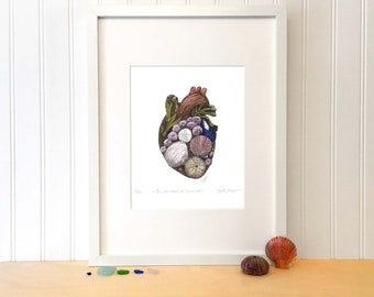 Art print - The heart full of river no2 - 10 x 8 in - Giclée numbered and signed. River illustration, St-Laurent, Shell, Algae