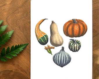 Greeting Card - Heart of squash - 7 x 5 in - High Resolution Print - Artwork reproduction - Fall, Autumn, Nature, Illustration, Botanical.